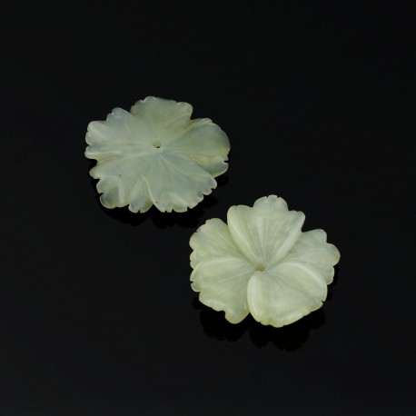 Flor pequeña de jade verde - clavelina