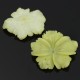 Jade limón - flor clavelina grande